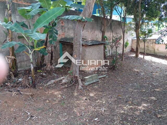 Casa para Venda em São Caetano do Sul - 4