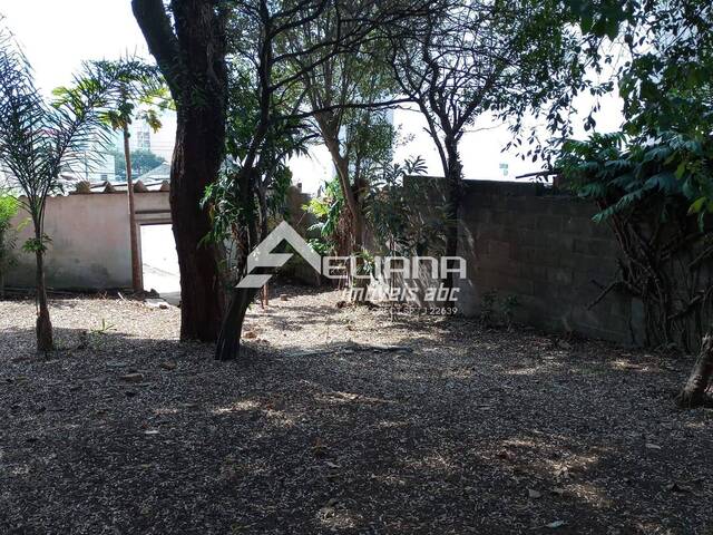 Casa para Venda em São Caetano do Sul - 5