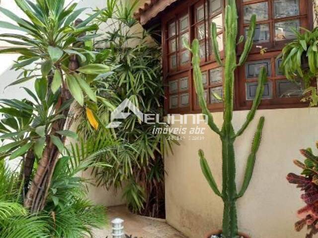 Casa para Venda em São Caetano do Sul - 5