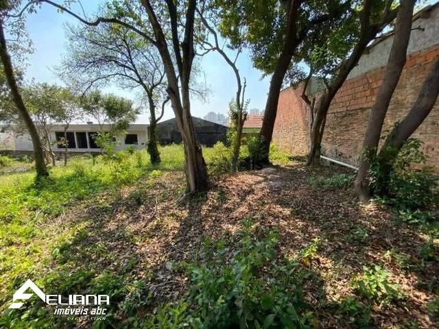 Terreno para Venda em São Caetano do Sul - 4