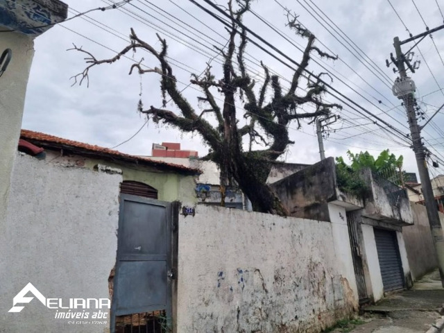 #AL1122 - Terreno para Venda em São Caetano do Sul - SP - 3