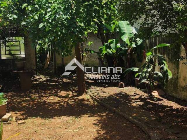 Área para Venda em São Caetano do Sul - 4