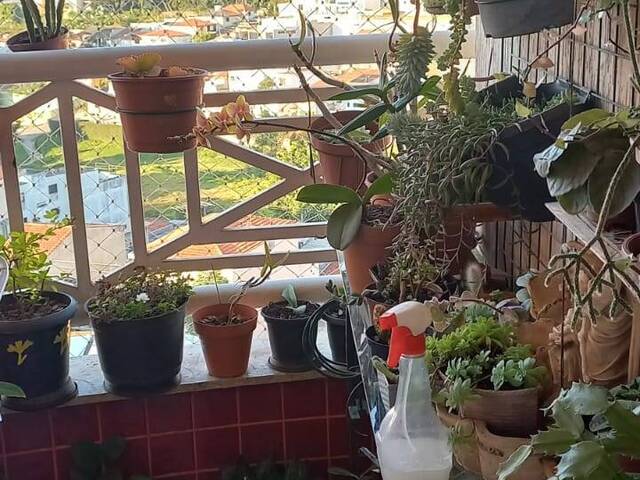 #RE003 - Apartamento para Venda em São Caetano do Sul - SP - 2