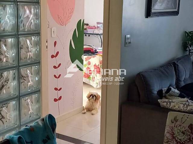 Apartamento para Venda em São Caetano do Sul - 5