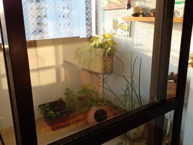 Apartamento para Venda em Santo André - 5