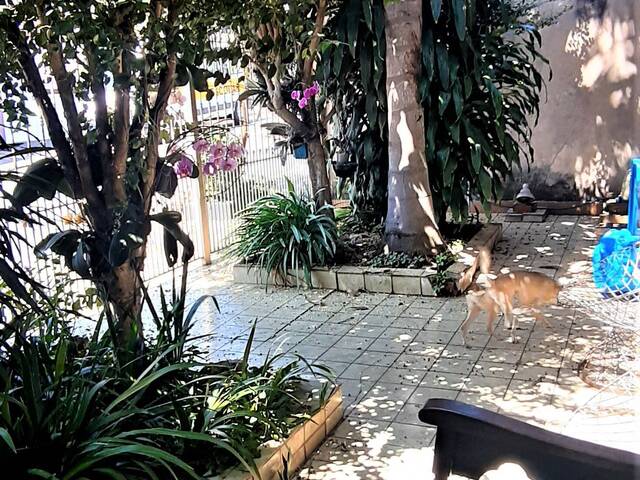 #AR0049 - Casa para Venda em Santo André - SP - 3