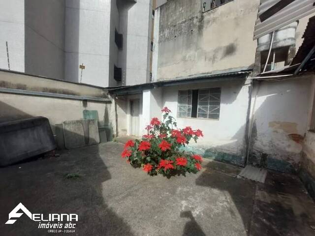 Casa para Venda em São Caetano do Sul - 5