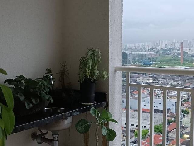 #NA6891 - Apartamento para Venda em São Caetano do Sul - SP - 3