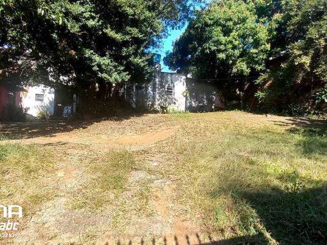 #12375 - Área para Venda em São Paulo - SP - 3