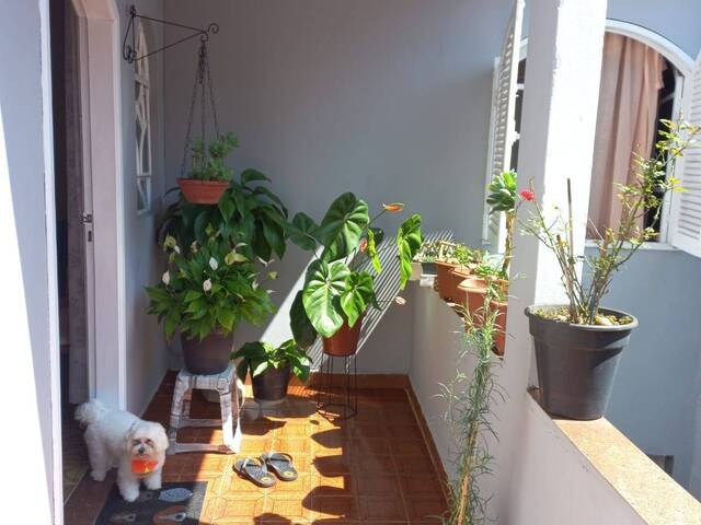 #12444 - Casa para Venda em São Caetano do Sul - SP - 2