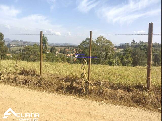 #SF12559 - Terreno para Venda em Porangaba - SP - 2