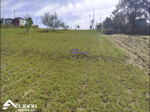 #SF12559 - Terreno para Venda em Porangaba - SP - 1