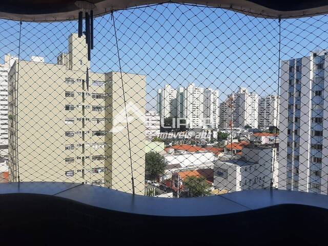 Apartamento para Venda em São Caetano do Sul - 5