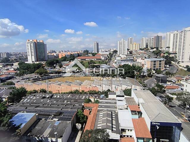Apartamento para Locação em São Caetano do Sul - 4