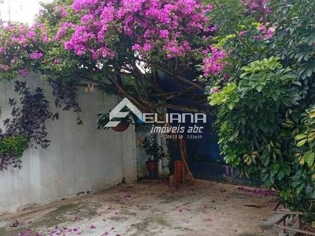 Casa para Venda em São Caetano do Sul - 4
