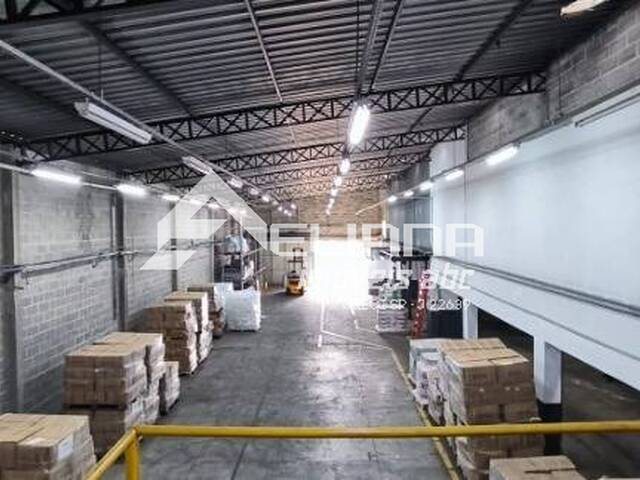 Galpão para Venda em São Caetano do Sul - 4
