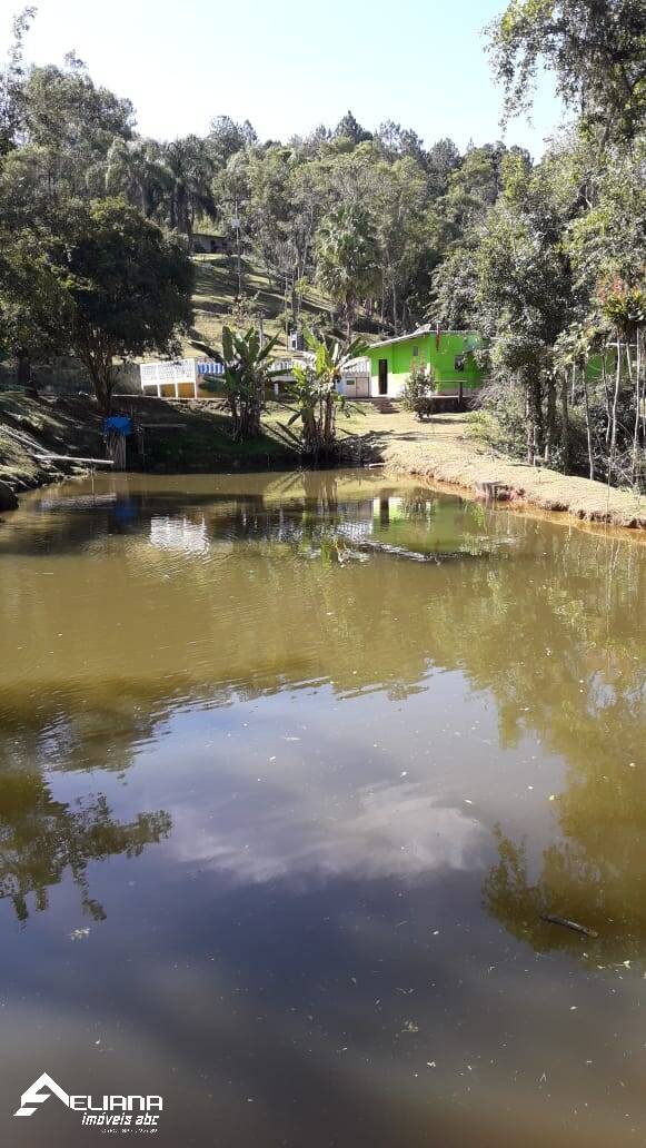 Sítio à venda com 4 quartos, 29400m² - Foto 4