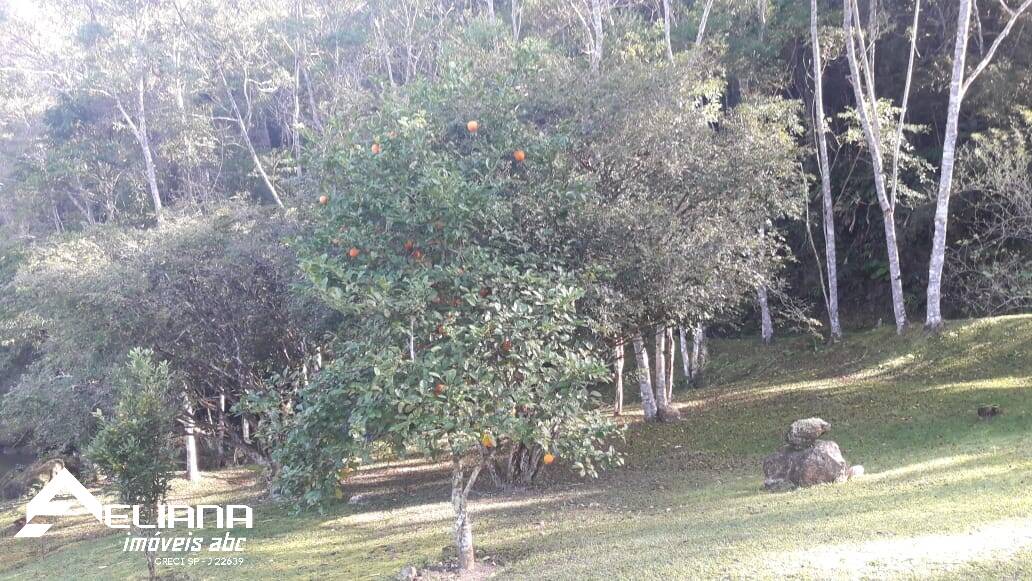 Sítio à venda com 4 quartos, 29400m² - Foto 28