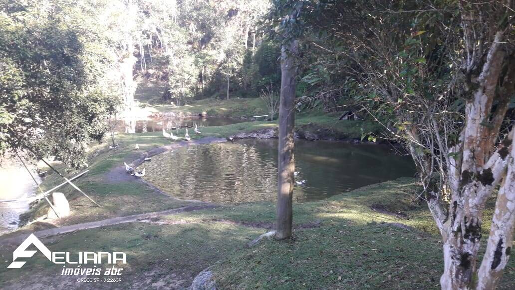 Sítio à venda com 4 quartos, 29400m² - Foto 3