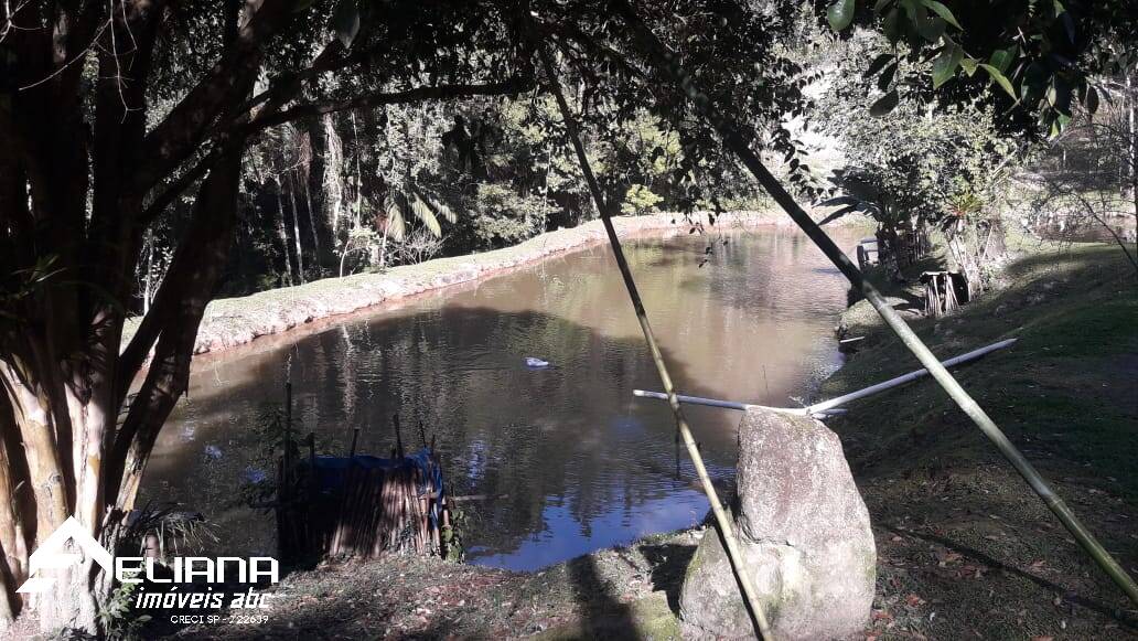 Sítio à venda com 4 quartos, 29400m² - Foto 31