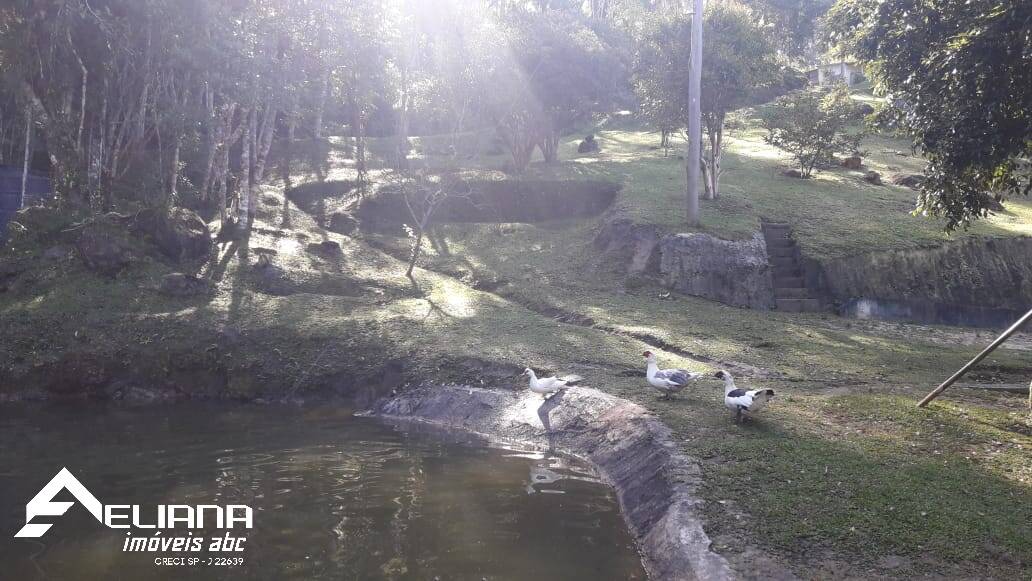 Sítio à venda com 4 quartos, 29400m² - Foto 34