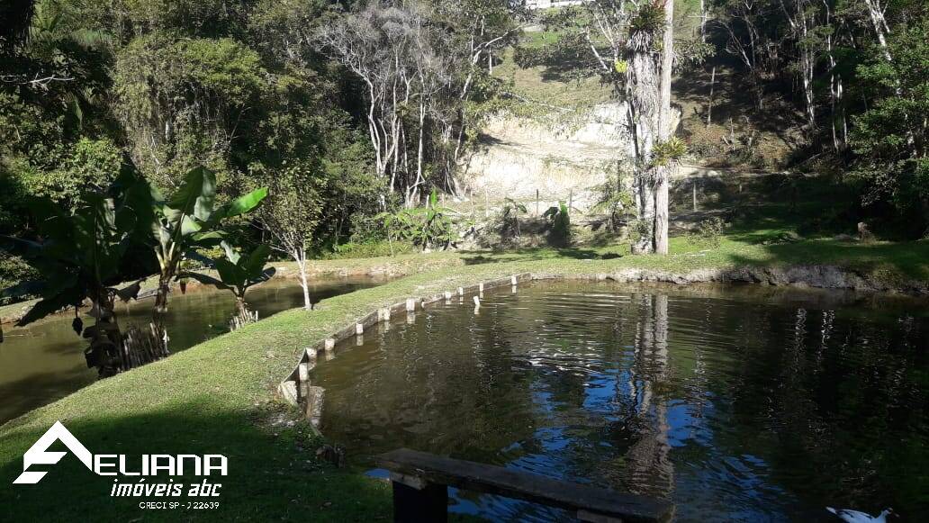 Sítio à venda com 4 quartos, 29400m² - Foto 36