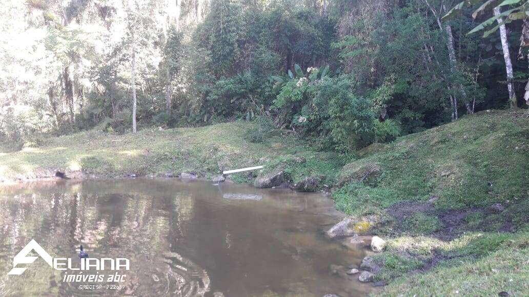 Sítio à venda com 4 quartos, 29400m² - Foto 38