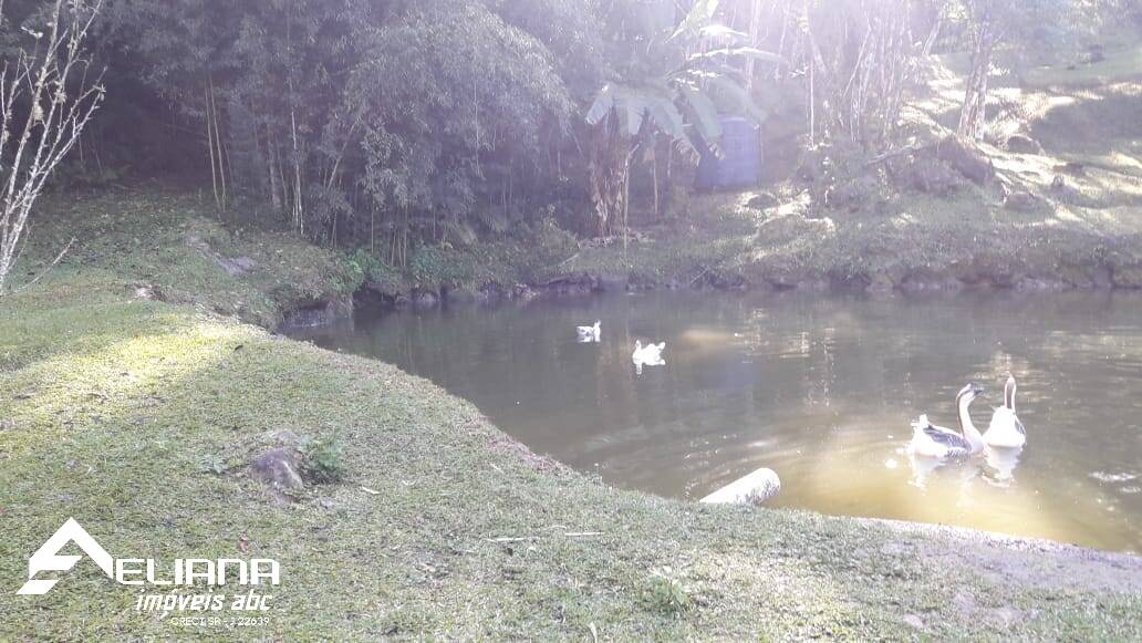 Sítio à venda com 4 quartos, 29400m² - Foto 37