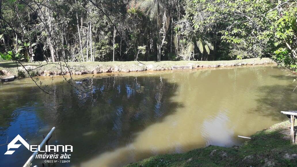 Sítio à venda com 4 quartos, 29400m² - Foto 35