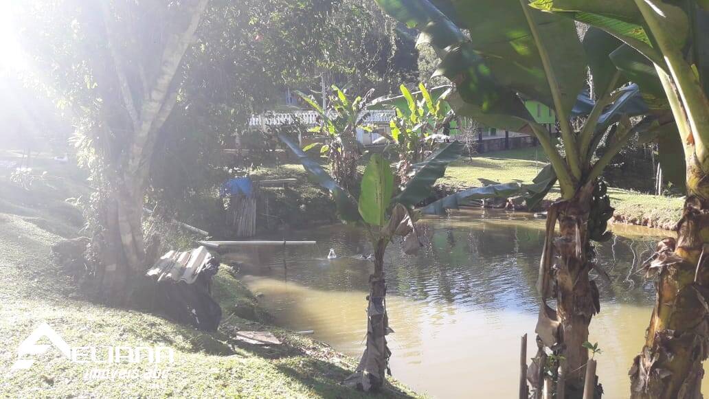 Sítio à venda com 4 quartos, 29400m² - Foto 40