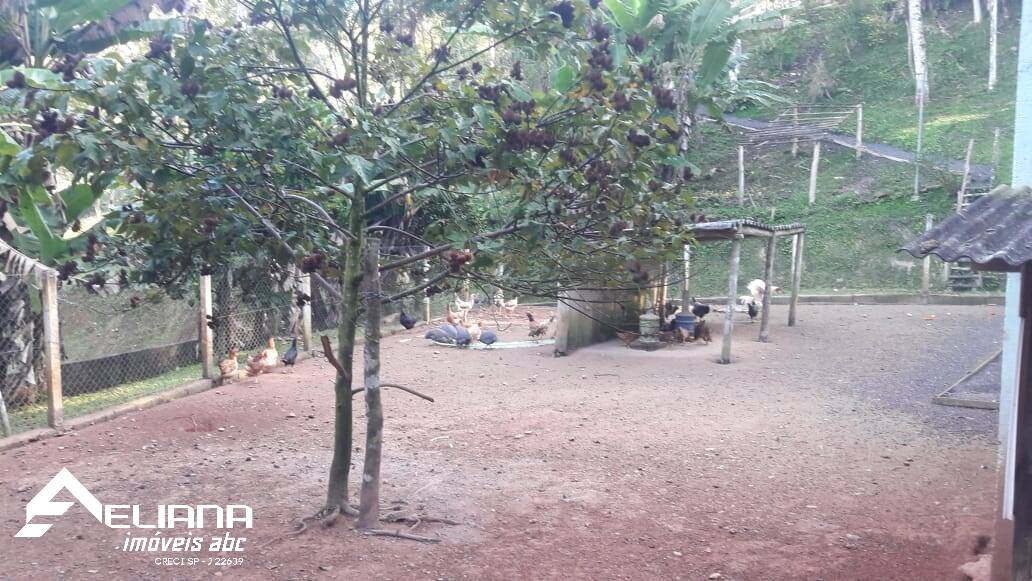 Sítio à venda com 4 quartos, 29400m² - Foto 45