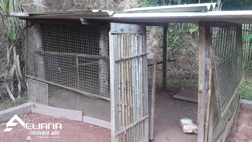 Sítio à venda com 4 quartos, 29400m² - Foto 44