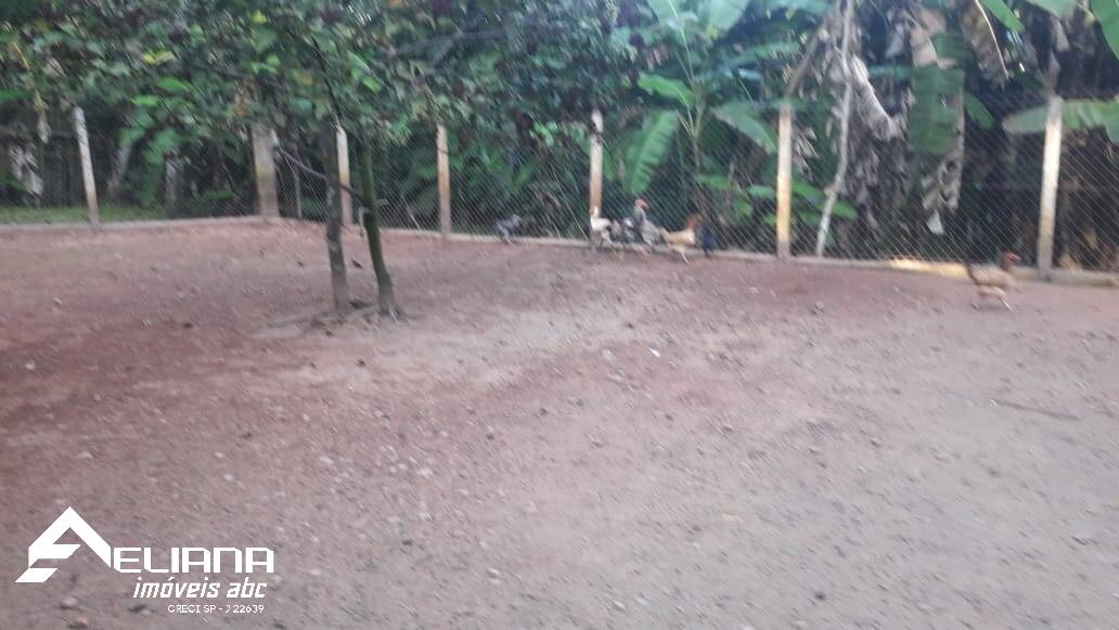 Sítio à venda com 4 quartos, 29400m² - Foto 46