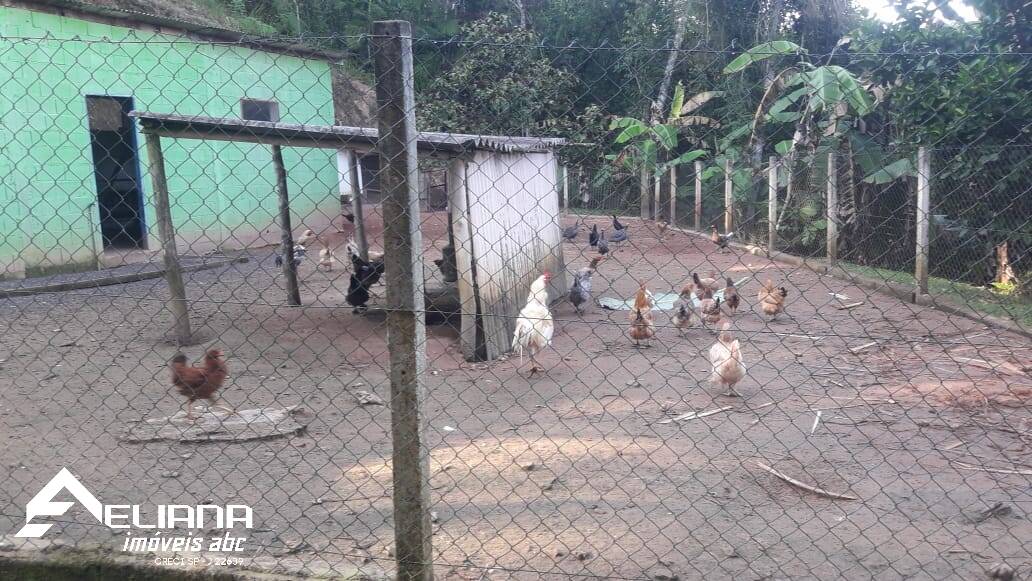 Sítio à venda com 4 quartos, 29400m² - Foto 49