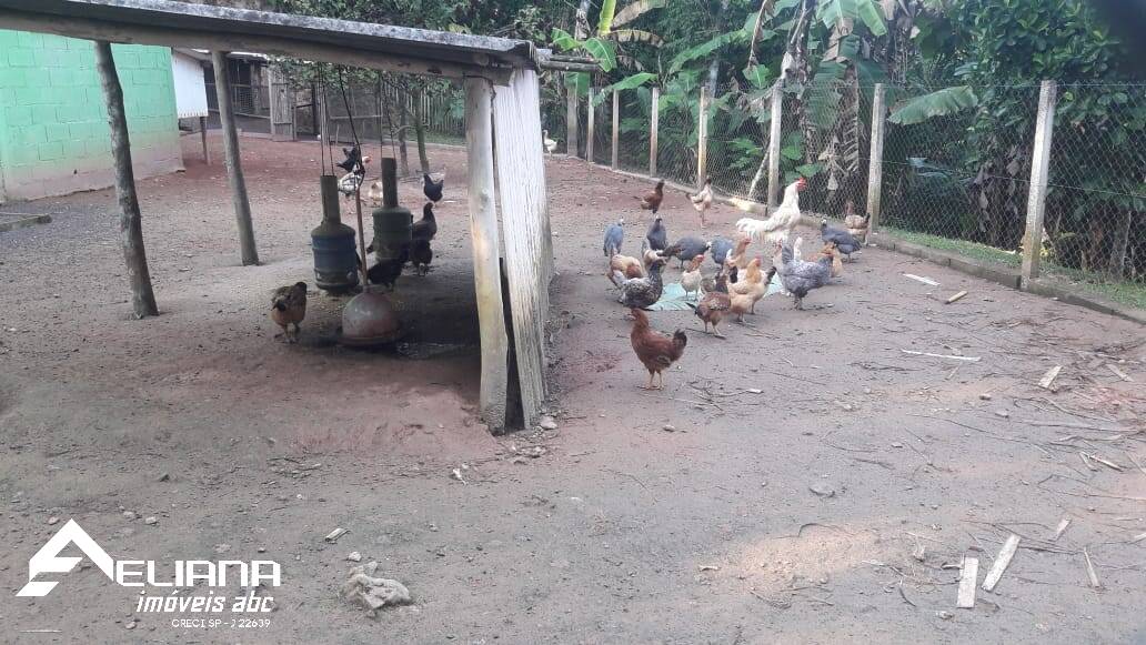 Sítio à venda com 4 quartos, 29400m² - Foto 48