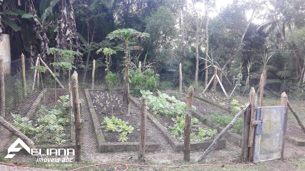 Sítio à venda com 4 quartos, 29400m² - Foto 52