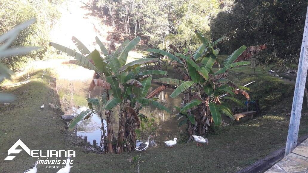 Sítio à venda com 4 quartos, 29400m² - Foto 63