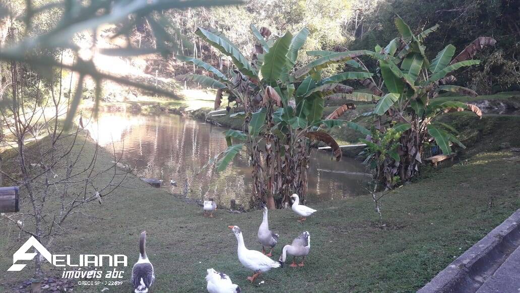 Sítio à venda com 4 quartos, 29400m² - Foto 65