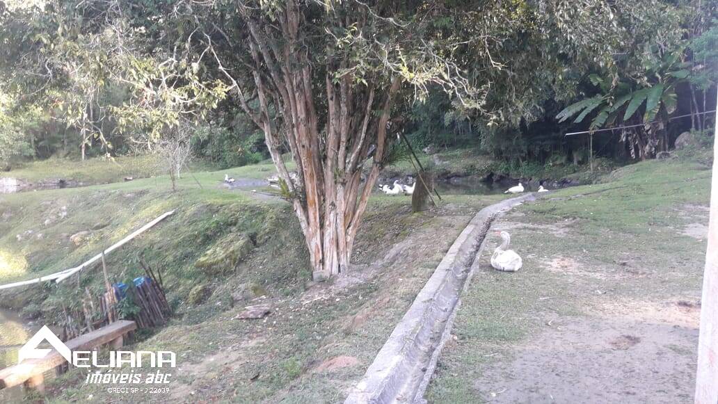 Sítio à venda com 4 quartos, 29400m² - Foto 70