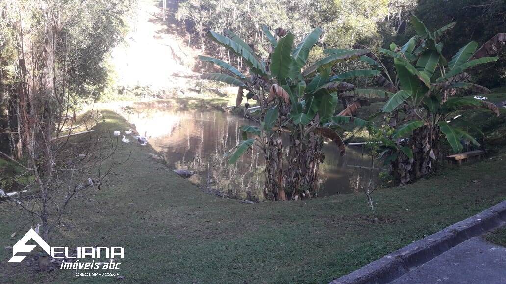 Sítio à venda com 4 quartos, 29400m² - Foto 75