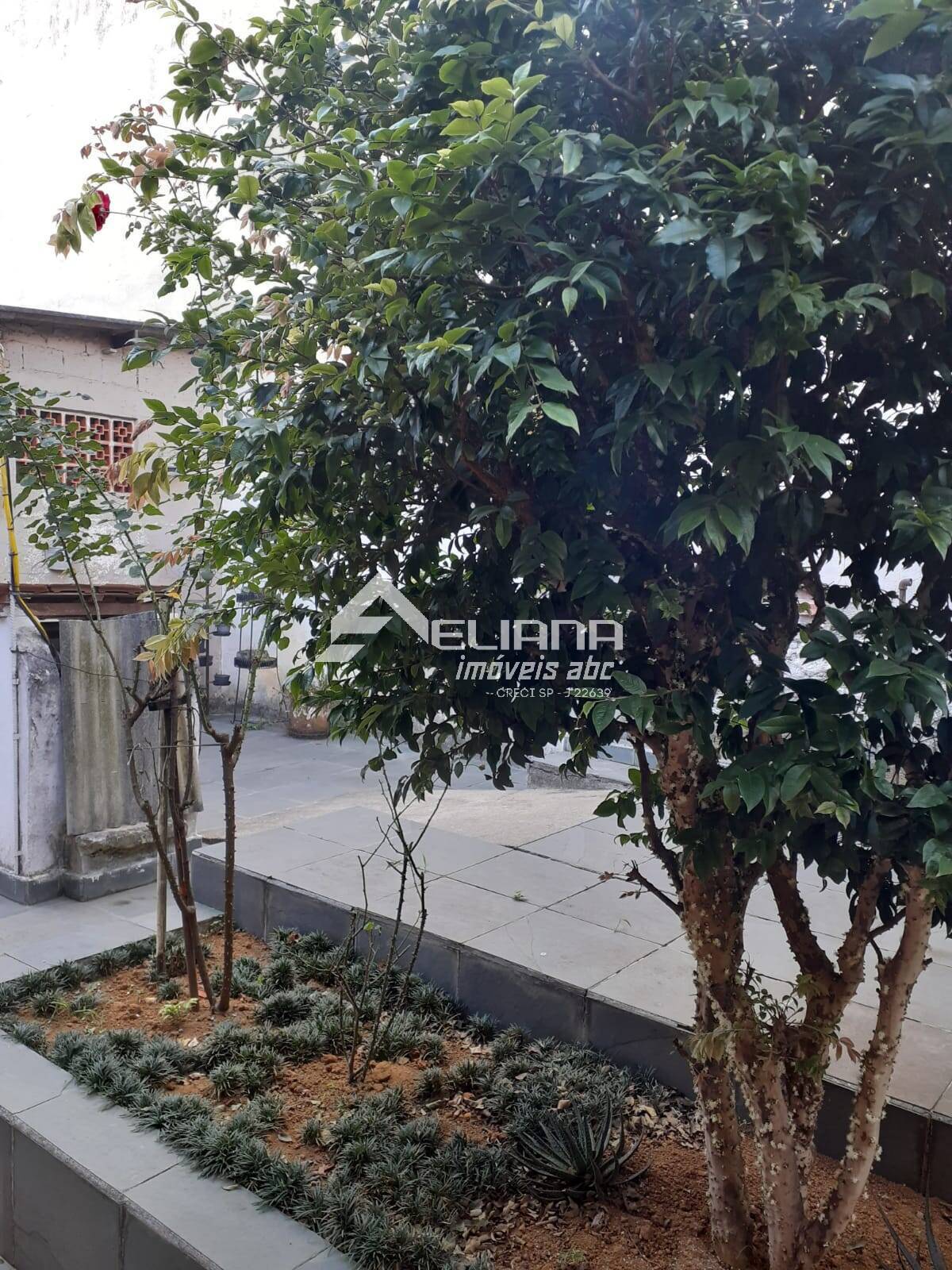 Casa, 2 quartos, 500 m² - Foto 8