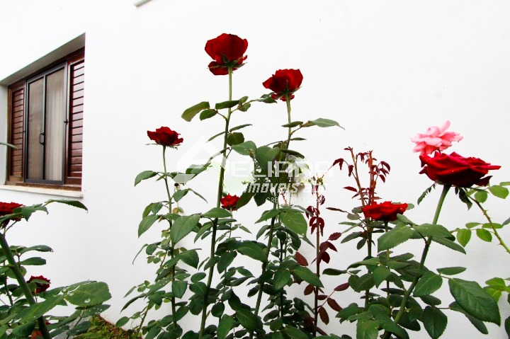 Casa, 4 quartos, 307 m² - Foto 23