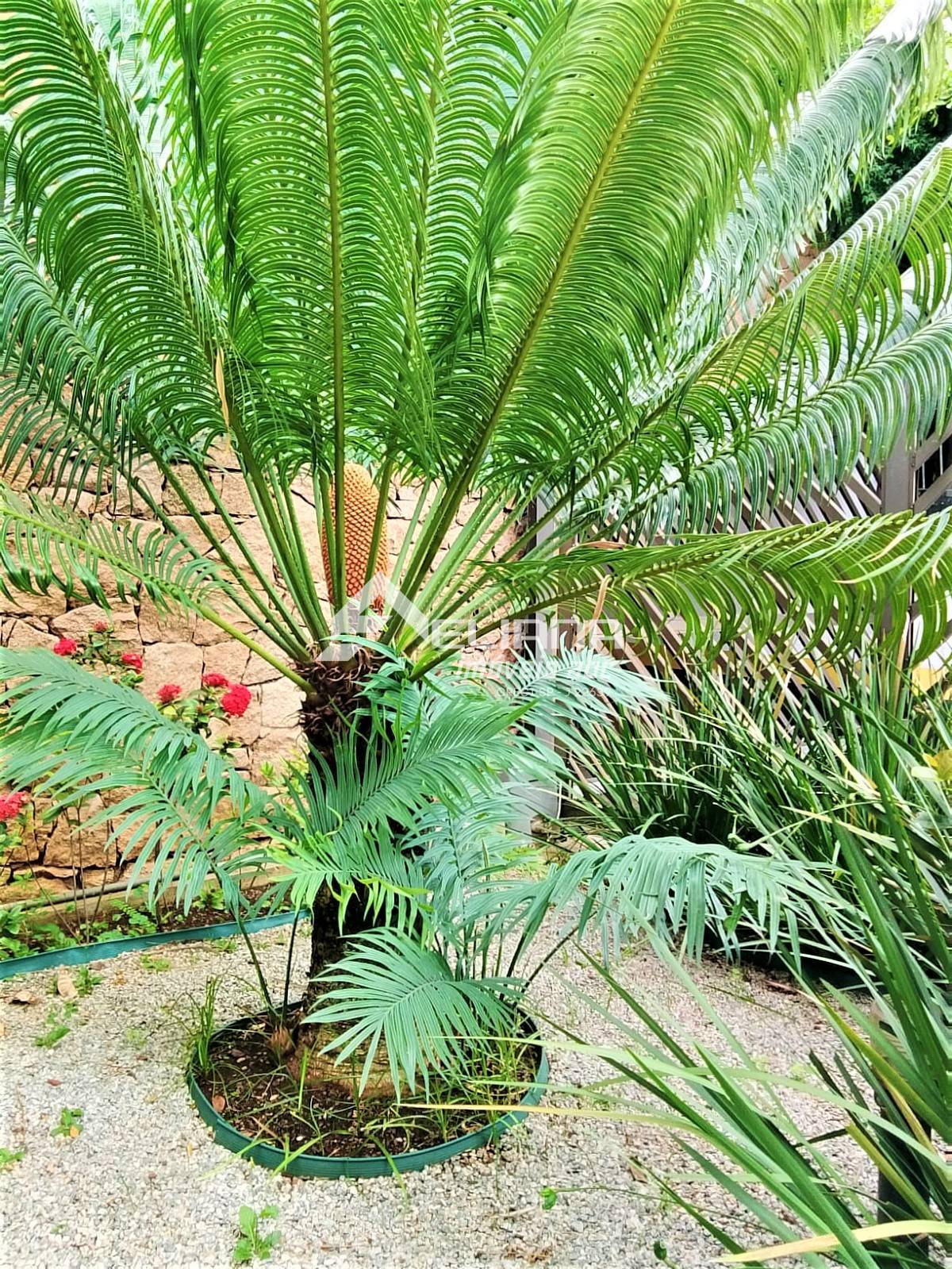 Apartamento, 3 quartos, 105 m² - Foto 6