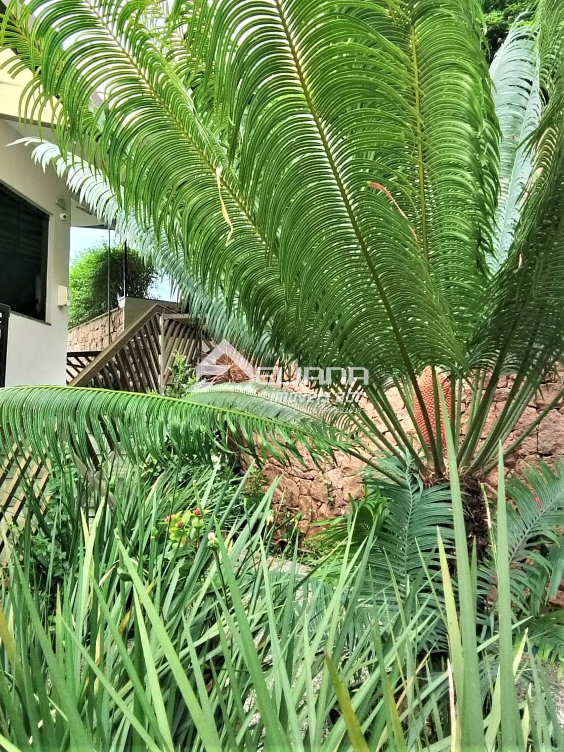 Apartamento, 3 quartos, 105 m² - Foto 7