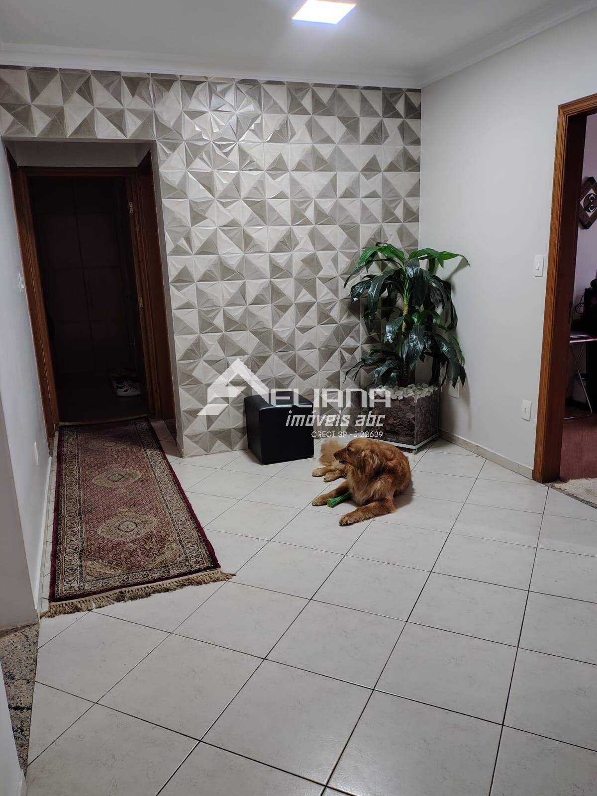 Apartamento, 3 quartos - Foto 6