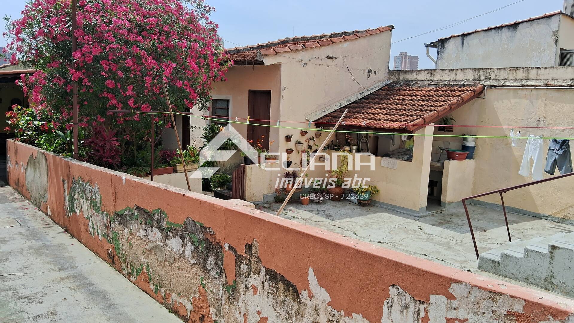 Casa, 3 quartos, 500 m² - Foto 2