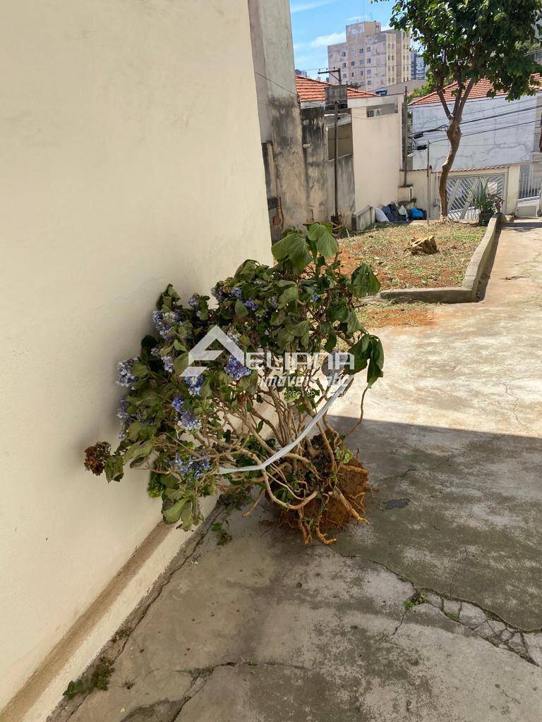 Terreno, 258 m² - Foto 11